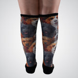 Dogs stretch socks